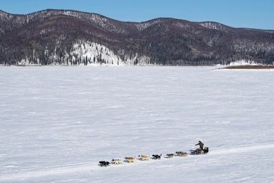Top 5 Iditarod mushers take a break at race's halfway point
