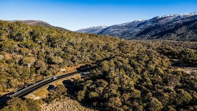 Five survive Snowy Mountains helicopter crash, ATSB investigates