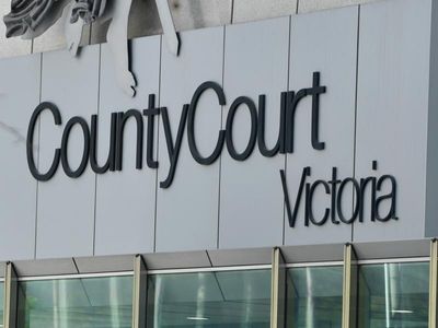 Car thief led police on 'terrifying' chase