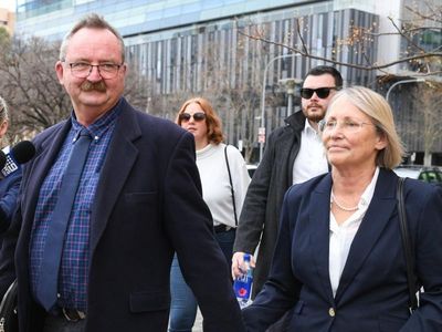 Former MP in voter pitch outside SA court