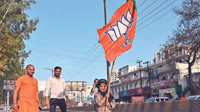 BJP wins all 8 NCR seats, betters 2017 show in most