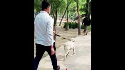 Tracker dog takes Delhi police closer to ‘mystery’ man