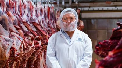 Vaccination and 'fogging mosquitoes' key tools for pig farmers tackling Japanese encephalitis