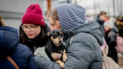 Photos show Ukrainians who 'can't leave' pets behind as they attempt to flee the Russian invasion