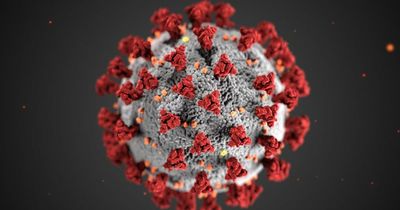 WHO gives update on spread of Deltacron Covid mutant hybrid in UK