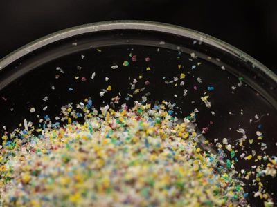 Qld lab to test for plastics in human body