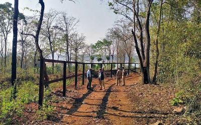 Elephant attack: Two plantation workers killed in Hassan district