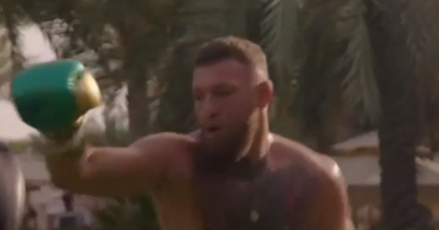 Conor McGregor shows off boxing skills as he ups preparations for UFC return