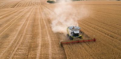 Ukraine: how the global fertiliser shortage is going to affect food