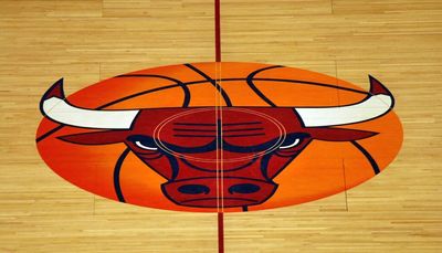 Inaugural Bulls Fest set for Labor day weekend at United Center campus
