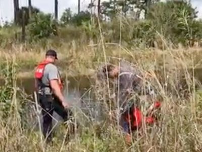 Human arm found in alligator’s mouth at ‘Hungryland’ Florida preserve sparks homicide investigation
