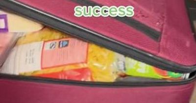 Aldi shopper's suitcase shopping hack bags TikTok fame