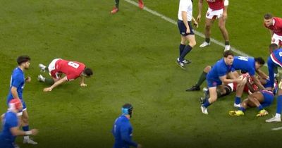 'Frightening' Tomos Williams scenes leave TV viewers horrified during Wales v France match