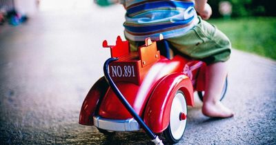 Bristol childminder left rat traps in garden for children to play near, Ofsted finds