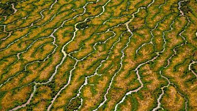 Photographer Gary Cranitch has spent years capturing stunning images of Queensland's river systems from up close and on high