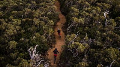 Victorian rider dies on Tasmania's Maydena mountain-bike trail