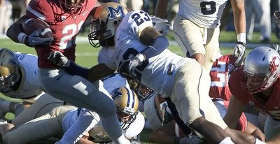 Panthers hire former Montana State LB as offensive assistant