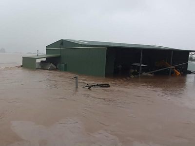 Tas group plans hay run for NSW farmers