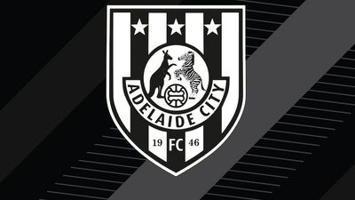 Adelaide City chief condemns fans over homophobic abuse aimed at rival soccer clubs