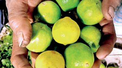 Poor supply doubles lemon prices