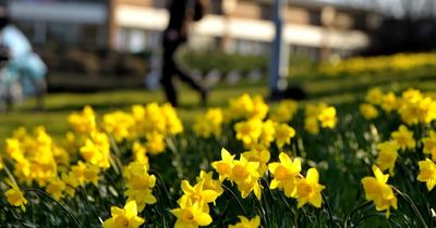 Met Office Greater Manchester weekend weather forecast with sunshine and showers