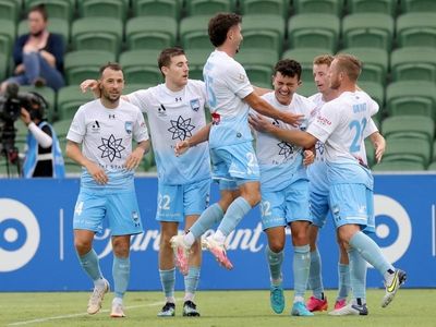 Barbarouses scores as Sydney beat Glory