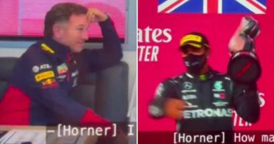 Christian Horner caught making X-rated Lewis Hamilton remark in Drive to Survive scene