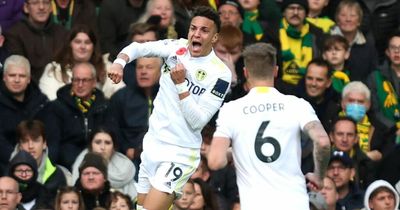 Pundits agree on Leeds United's make or break clash with Norwich City