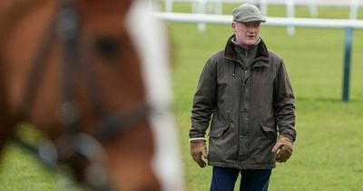 Cheltenham Festival 2022 tips: The 100-1 Willie Mullins acca bookies fear winning