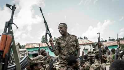 Ethiopia government says it will investigate video of soldiers burning civilians