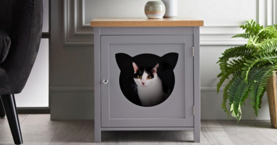 B&M launch 'perfect' pet furniture but some shoppers claim it will 'go to waste'