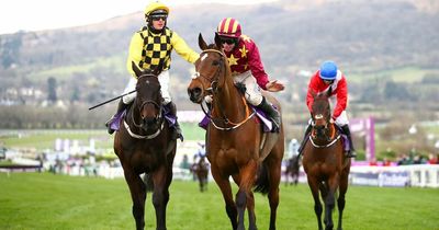 Last year's 1-2-3 among confirmations for Cheltenham Gold Cup