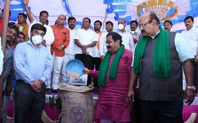Eight paddy procurement centres to be opened in Kalaburagi
