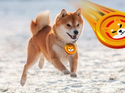 Doge-Killer Shiba Inu Begins Testing Burn Portal; Devs Announce Defense Team