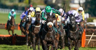 Ireland land pre-Cheltenham Festival blow to England as Surprise Package wins Imperial Cup