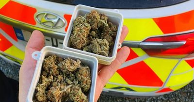 Garda checkpoints Ireland: One unit has busy week as vehicles and cannabis seized at special 'anti-crime' operation