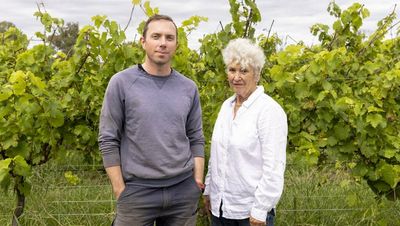 Why it's a tough year to be a grape, or a Canberra region winemaker