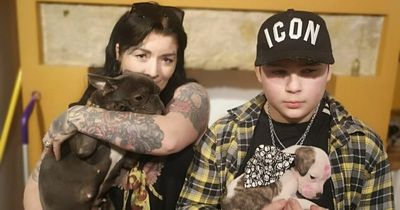 Mum terrified after burglars stalk through Leeds house as she sleeps and steal her dogs