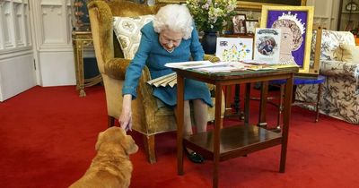 Queen, 95, has become so frail she's unable to walk her beloved dogs, aides say