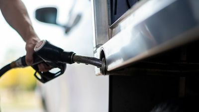 Treasurer Josh Frydenberg urged to cut fuel excise in budget amid soaring petrol prices