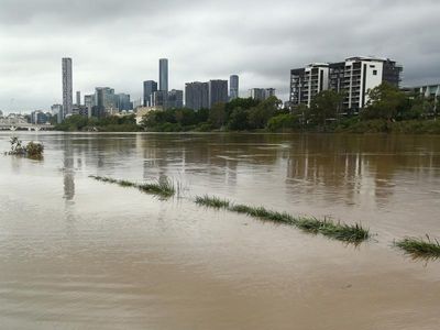 Brisbane River clean up may take weeks