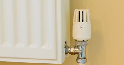 Mum cut heating bill in half using Martin Lewis tip