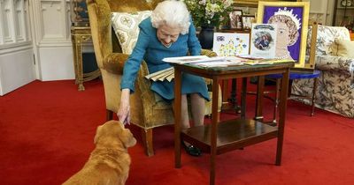The Queen has become too frail to walk her corgis, say Palace aides