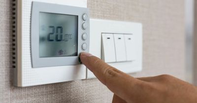 Martin Lewis tip helps mum cut monthly heating bill from £95 to £12
