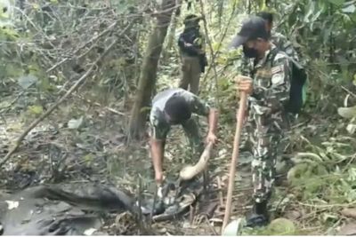 Gaur carcass found outside national park