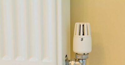 Savvy mum cuts monthly heating bill from £95 to £12 with Martin Lewis tip
