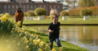 Met Office forecasts spring-like conditions as high pressure takes charge in time for next weekend