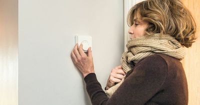 Mum explains how she cut heating bill from £95 to £12 thanks to Martin Lewis tip