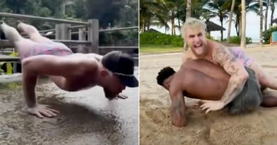 Jake Paul "trains MMA" while hitting out at "sloppy" rival Conor McGregor