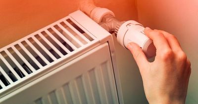 Mum reveals trick for cheap energy bills which she learnt from Martin Lewis